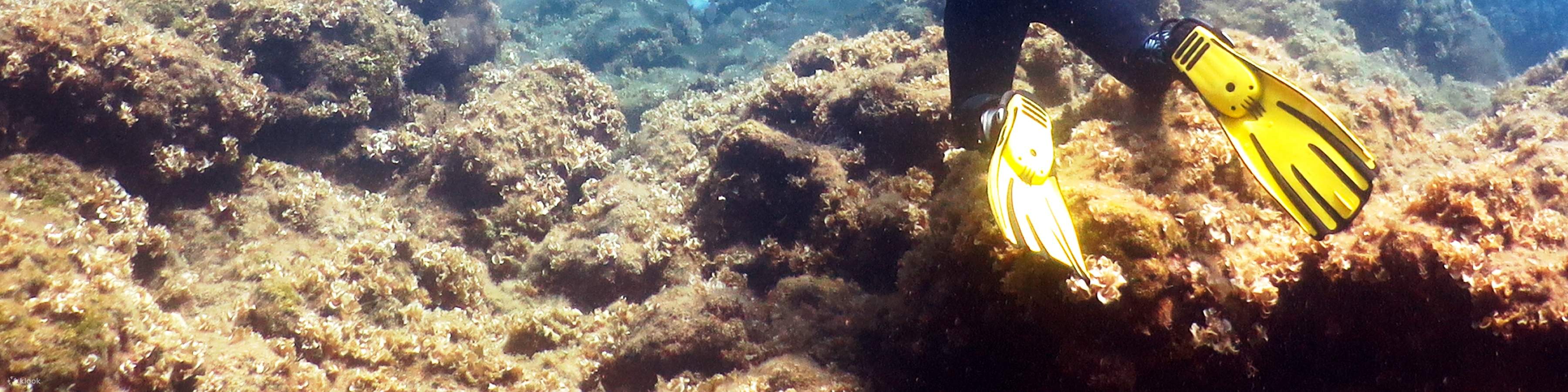 PADI進階開放水域潛水員【線上學習】